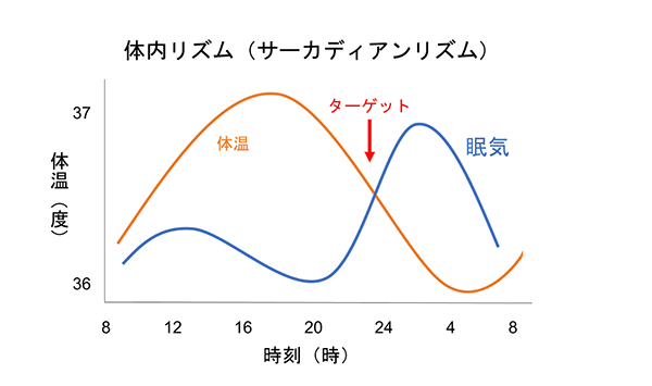 体内リズム（サーカディアンリズム）